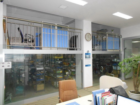 ����}(c��ng)��(k��)